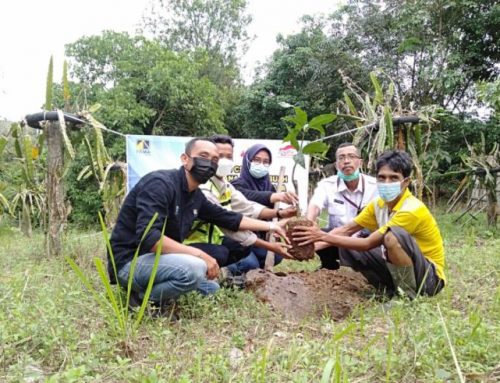 CSR Dan LPB Pama Berikan 200 Pohon Buah Kepada Petani Mitra Binaan