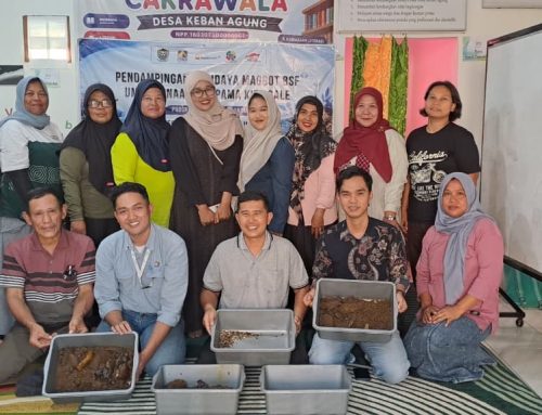 Dorong Ekonomi Sirkular, LPB PAKIGA Gelar Pelatihan Budidaya Maggot di Desa Bukit Agung